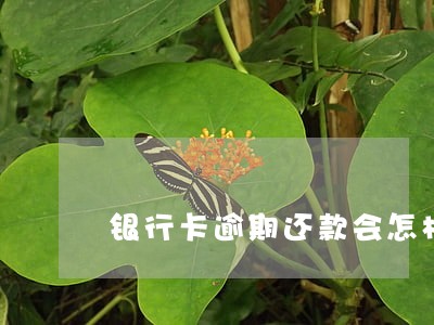 银行卡逾期还款会怎样 银行卡逾期还款会怎样