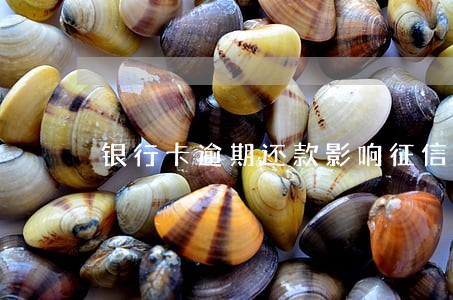 银行卡逾期还款影响征信吗