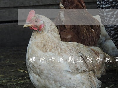 银行卡逾期还能贷款买房子吗