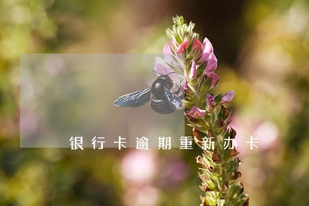银行卡逾期重新办卡 银行卡逾期重新办卡