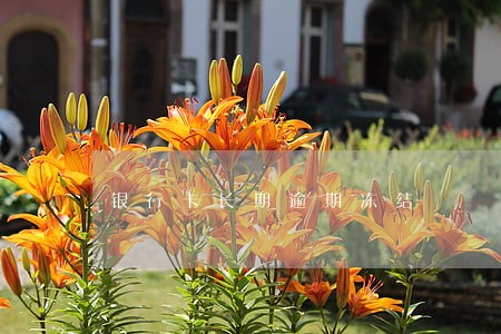 银行卡长期逾期冻结 银行卡长期逾期冻结