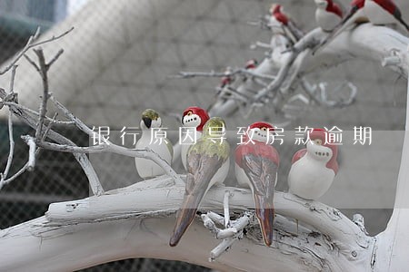 银行原因导致房款逾期 银行原因导致房款逾期