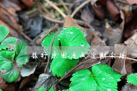 银行原因造成逾期索赔 银行原因造成逾期索赔