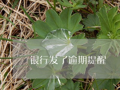 银行发了逾期提醒 银行发了逾期提醒