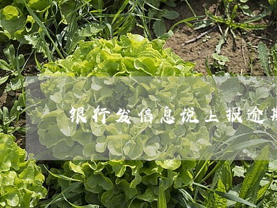 银行发信息说上报逾期报告 银行发信息说上报逾期报告
