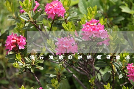 银行发信息说朋友贷款逾期 银行发信息说朋友贷款逾期
