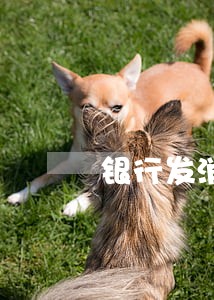 银行发消息信用卡逾期 银行发消息信用卡逾期