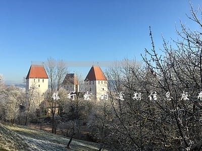 银行发的逾期信息版本 银行发的逾期信息版本