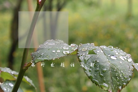 银行发短信逾期 银行发短信逾期