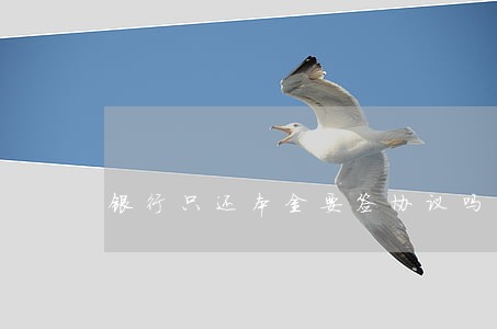 银行只还本金要签协议吗 银行只还本金要签协议吗