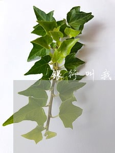 银行叫我只还本金要什么凭证 银行叫我只还本金要什么凭证