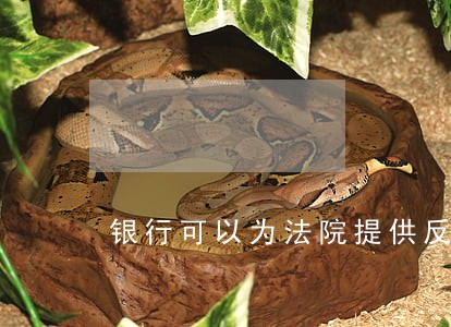 银行可以为法院提供反担保吗 银行可以为法院提供反担保吗