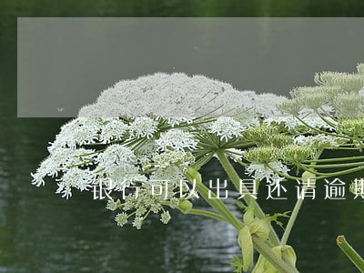 银行可以出具还请逾期贷款 银行可以出具还请逾期贷款