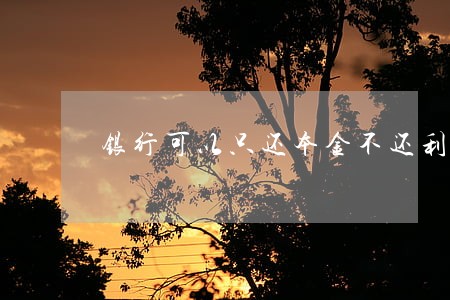 银行可以只还本金不还利息吗 银行可以只还本金不还利息吗