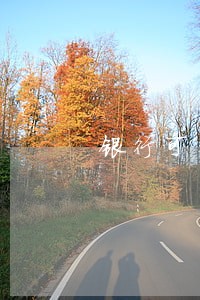 银行可以帮忙恢复个人逾期吗 银行可以帮忙恢复个人逾期吗