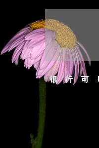 银行可以更改逾期吗 银行可以更改逾期吗