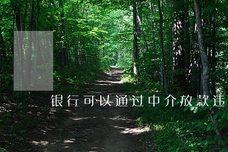 银行可以通过中介放款违法吗款吗 银行可以通过中介放款违法吗款吗