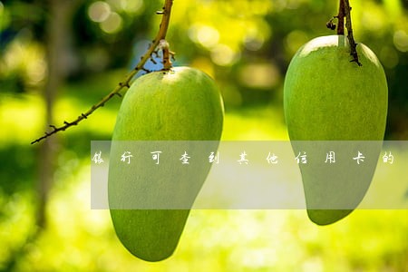 银行可查到其他信用卡的逾期 银行可查到其他信用卡的逾期