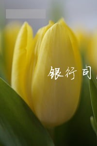 银行司法冻结存款凭据 银行司法冻结存款凭据