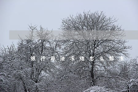 银行司法冻结怎么解冻