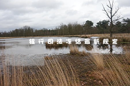 银行司法冻结最新规定 银行司法冻结最新规定