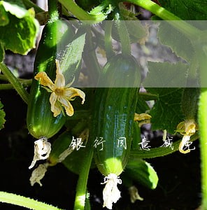 银行同意减免信用卡逾期违约金 银行同意减免信用卡逾期违约金