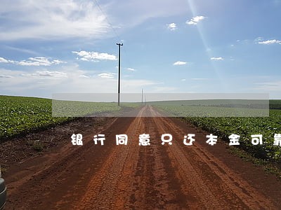 银行同意只还本金可靠吗 银行同意只还本金可靠吗