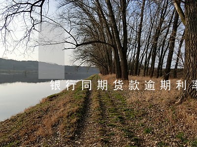 银行同期货款逾期利率如何算 银行同期货款逾期利率如何算
