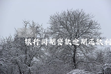 银行同期贷款逾期还款利息 银行同期贷款逾期还款利息