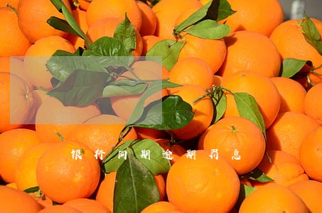 银行同期逾期罚息 银行同期逾期罚息