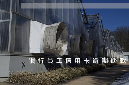 银行员工信用卡逾期还款后果 银行员工信用卡逾期还款后果