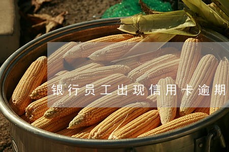 银行员工出现信用卡逾期怎么办 银行员工出现信用卡逾期怎么办