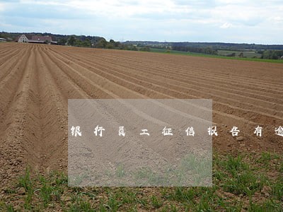 银行员工征信报告有逾期 银行员工征信报告有逾期