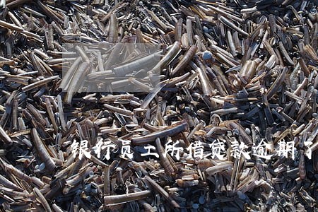 银行员工所借贷款逾期了怎么办