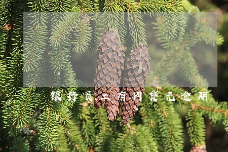 银行员工有网贷无逾期 银行员工有网贷无逾期