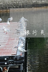 银行员工离职半年后贷款逾期 银行员工离职半年后贷款逾期