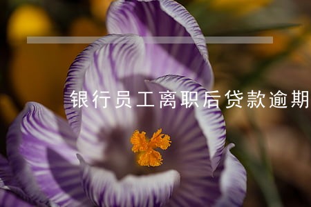 银行员工离职后贷款逾期 银行员工离职后贷款逾期
