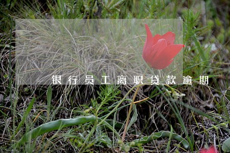银行员工离职贷款逾期 银行员工离职贷款逾期