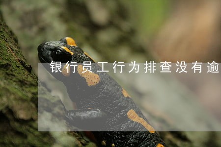 银行员工行为排查没有逾期 银行员工行为排查没有逾期