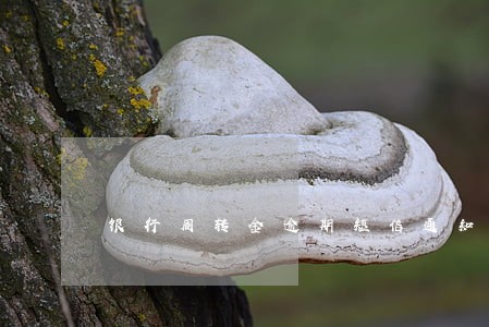 银行周转金逾期短信通知 银行周转金逾期短信通知