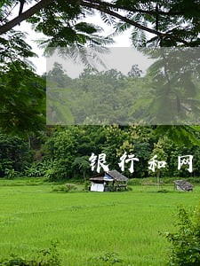 银行和网贷逾期会封账户吗 银行和网贷逾期会封账户吗