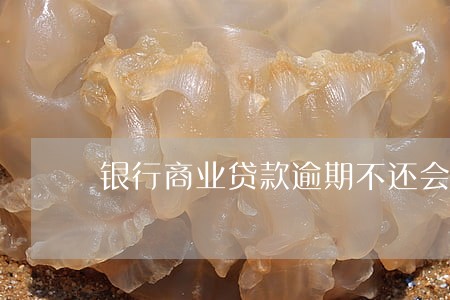 银行商业贷款逾期不还会怎么办 银行商业贷款逾期不还会怎么办
