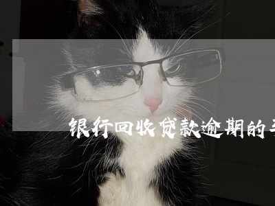 银行回收贷款逾期的车能否购买 银行回收贷款逾期的车能否购买