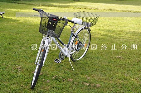 银行因逾期原因终止分期贷款 银行因逾期原因终止分期贷款
