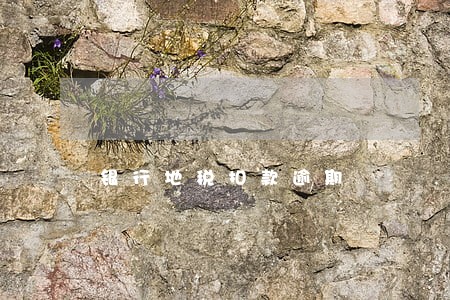 银行地税扣款逾期