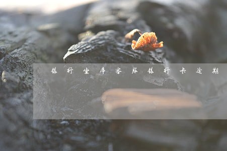 银行坐席客服银行卡逾期催收 银行坐席客服银行卡逾期催收