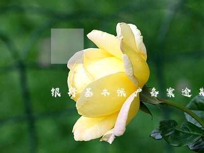 银行基本帐户备案逾期 银行基本帐户备案逾期