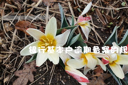 银行基本户逾期备案的规定 银行基本户逾期备案的规定