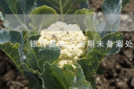 银行基本户逾期未备案处罚 银行基本户逾期未备案处罚