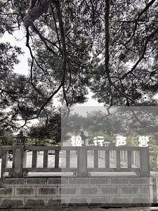 银行声誉逾期管理 银行声誉逾期管理